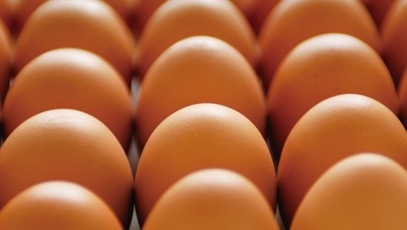 「天美卵」（「大江ノ郷自然牧場」公式ウエブサイトより）