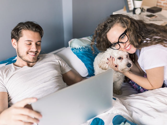 ベッドで戯れるカップルと犬
