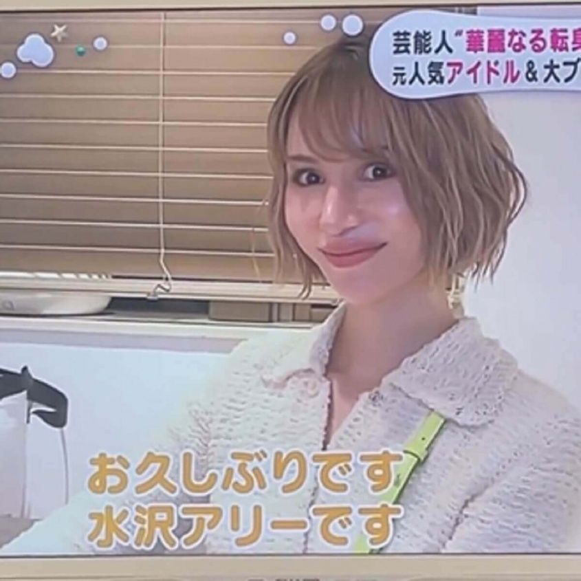 インスタグラム：水沢アリー(@ally.lens)より