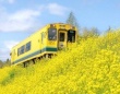「もう一度みたい」「復活してください」　運休中「いすみ鉄道」の〝春の思い出〟に懐かしむ声