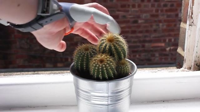 指デバイスでサボテン