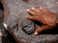アマゾンの深刻な干ばつで岩石に刻まれた2000年前の人面彫刻が明らかに
