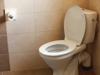 江戸時代に「トイレネタブログ」があったって本当？