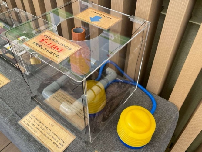 手元のポンプで空気を送ってニオイを嗅ぐ(画像は2023年開催時のもの、サンシャイン水族館公式Xアカウントより)