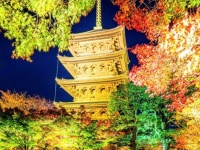 万華鏡を覗いてるみたい！　京都・東寺の紅葉×ライトアップ×リフレクションの相性が最高すぎる