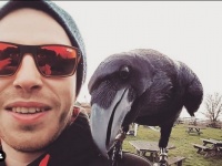 飼い主の死後、人間不信となっていたペットのワタリガラスが、保護施設の男性と深い絆を育む（イギリス）