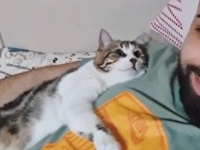 秋の夜長にほっこりをどうぞ。トルコの猫天使サーパーさん、愛猫を胸に抱いて一緒にあたたかい笑顔を見せていた