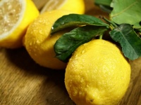 レモンは皮ごと食べないとビタミンが少ないってほんと？ ビタミンCの効率的な補給方法