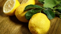 レモンは皮ごと食べないとビタミンが少ないってほんと？ ビタミンCの効率的な補給方法