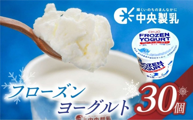 愛知県 豊橋市「中央製乳 フローズンヨーグルト 30個」15,000 円（ふるさとチョイスより）