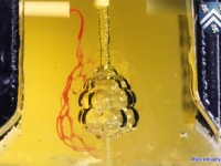 拒絶反応のない移植用臓器へ向けて。3Dプリンターで作られた血管ネットワークで脈打つ臓器（米研究）