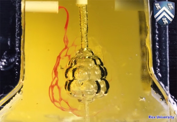 拒絶反応のない移植用臓器へ向けて。3Dプリンターで作られた血管ネットワークで脈打つ臓器（米研究）