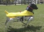 本物の犬みたい！　芸も可能な救助用犬型ロボット。