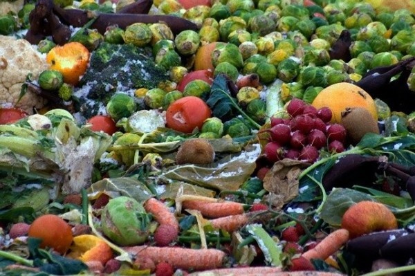 廃棄野菜や果物から強度の高い素材を開発