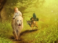 2022年、人間の為にがんばってくれた犬や猫、10のヒーロー動物10