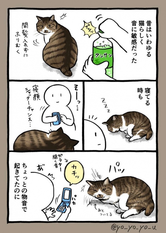 (画像提供:卯月よう(@yo_yo_yo_u)さん)