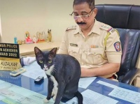 インド・ムンバイ警察で一番偉いのは猫。上級警部も椅子を譲る