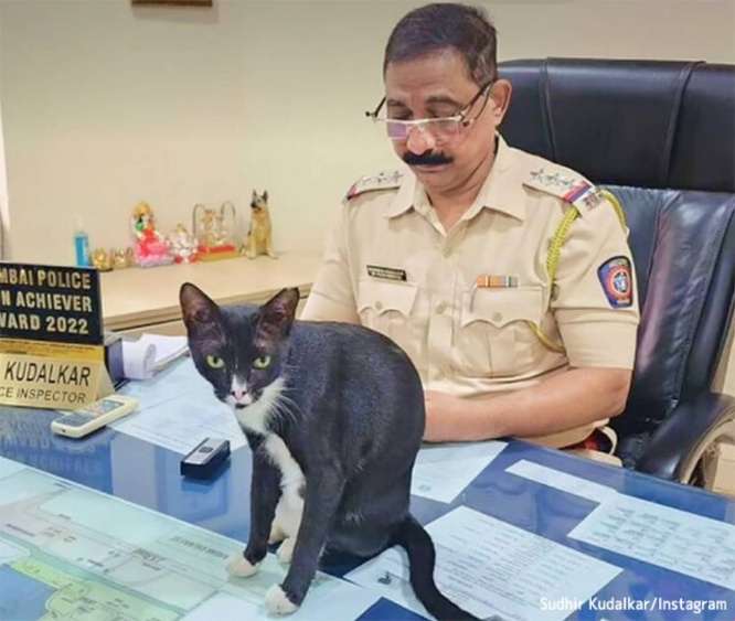 インド・ムンバイ警察で一番偉いのは猫。上級警部も椅子を譲る