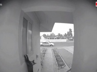 飼い猫の朝帰りをスクープ！「入れてほしいニャ！」とねだる猫を玄関の監視カメラがとらえていた