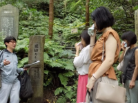 涙と旅カフェ　あかねのプレスリリース画像