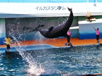 画像はイメージです（Emran Kassimさん撮影、Flickrより）