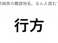 ヒント：○○がた
