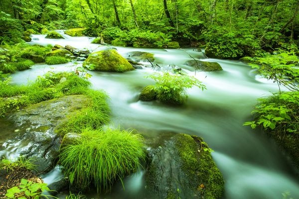 女性におすすめの一人旅の行き先