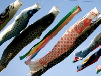 画像はイメージです（kazuletokyoiteさん撮影、Flickrより）