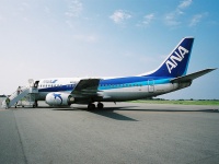 大島空港に着陸したボーイング737（OIM/RJTO / Hyougushiさん撮影、Flickrより）