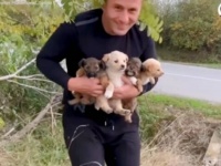 車の行きかう路上に子犬たちが！捨てられた4匹の子犬、無事に保護されそれぞれ温かい家庭に引き取られる
