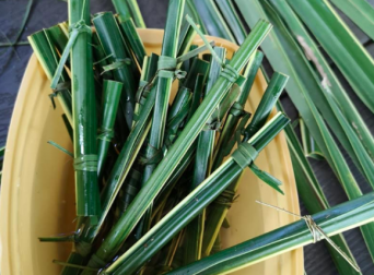 これならマックシェイクも飲めるかも！？ココナッツの葉を巻いて結ぶだけでできる、自然にやさしいストロー（フィリピン）