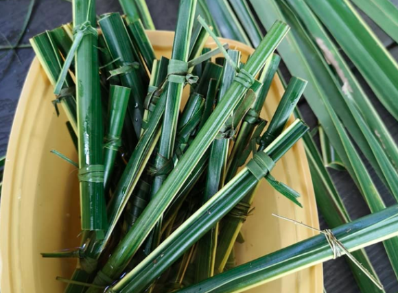 これならマックシェイクも飲めるかも！？ココナッツの葉を巻いて結ぶだけでできる、自然にやさしいストロー（フィリピン）