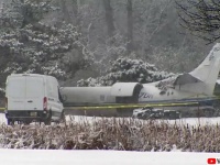 53匹の保護犬を乗せた飛行機が墜落、犬も人も全員無事を確認