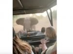 怖え〜！！　激怒したゾウが吠えながら全力で追いかけてくる映像。
