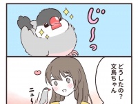 画像は鳥野ニーナ（＠sinamomomomo）さんの投稿より、以下同
