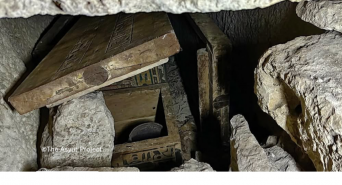 The Asyut Projectのプレスリリース画像