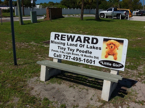 画像はイメージです（Daniel Oinesさん撮影、Flickrより）