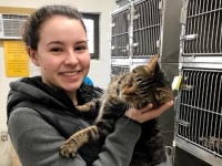 NNN活動報告。シェルターに保護された野良猫、運命の出会いを逃すまいと1人の女性にロックオン！めでたく家族となる（アメリカ）