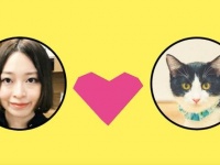 自分に似ている猫を紹介してくれる、猫マッチングアプリ「NYAPPLING(ニャップリング)」が登場