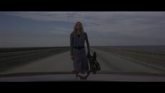 ビヨンド⒞『夏のホラー秘宝まつり』