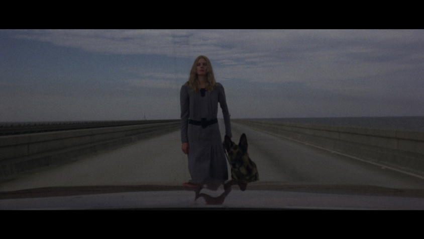 ビヨンド⒞『夏のホラー秘宝まつり』