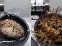 植物すげえ！カラッカラのテマリカタヒバに水を与えた時の蘇生っぷり！