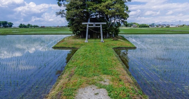 いま「ポツ神」が美しい――日本の原風景に、心掴まれる人続出