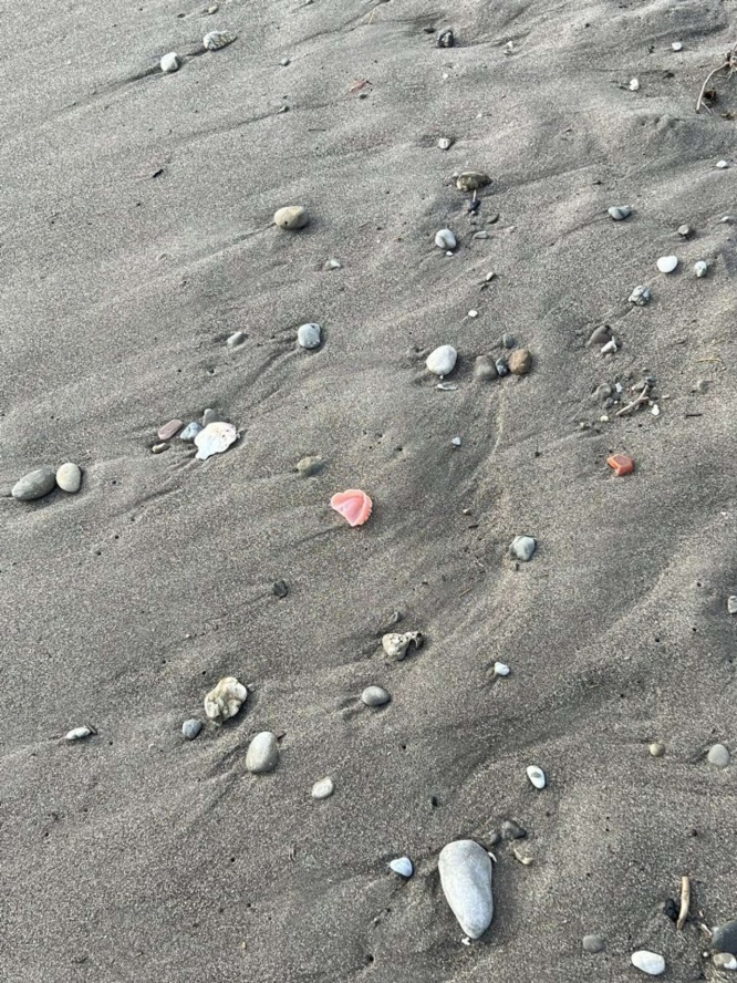 ん?(画像はこけし山田@kokeshiyamadaさんのツイートより)