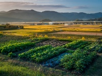 田園風景。写真はイメージです（Takuma Kimuraさん撮影、Flickrより）