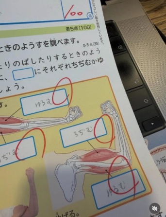 Instagram：庄司智春(@tomoharushoji)より