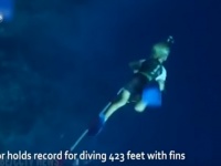 【びっくり！】魚のように泳ぐ3歳のフリーダイバーが話題に