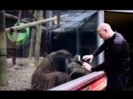 オラウータンの目の前でマジック⇒　人と動物を隔てるガラスの間で奇跡が…