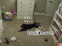 絶対に入ってはいけない。その言いつけを破った犬が赤ちゃん部屋に侵入、その喜びっぷりたるや！