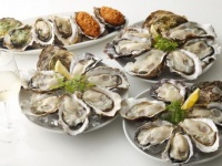生牡蠣食べ放題イメージ